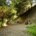 Alojamento de Turismo Rural Quinta De Barbêdo - Caniçada