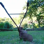 Quinta De Barbedo - Farm stay Canicada