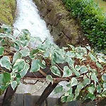 Quinta De Barbêdo - *