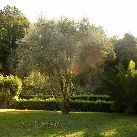 Quinta De Barbedo -