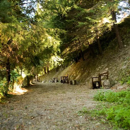Alloggio per agriturismo Quinta De Barbedo - Caniçada