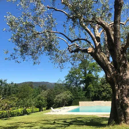 Quinta De Barbêdo - *