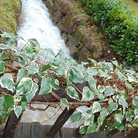 Quinta De Barbêdo - *