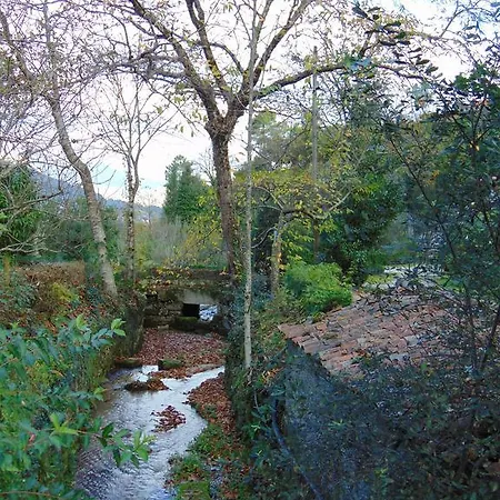 Farma Quinta De Barbedo - *