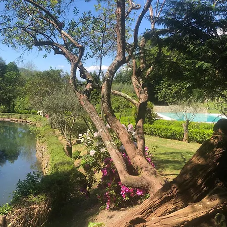 Quinta De Barbêdo - Caniçada