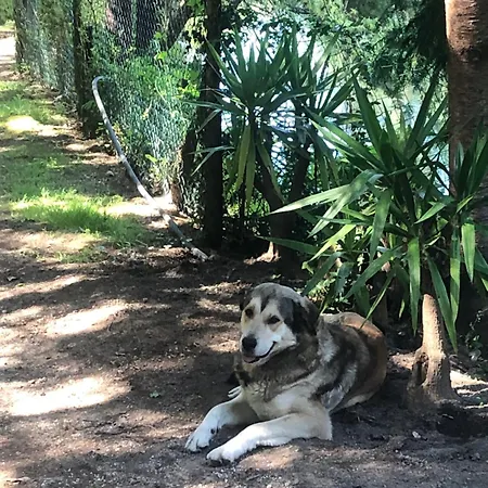 Gospodarstwo agroturystyczne Quinta De Barbedo -