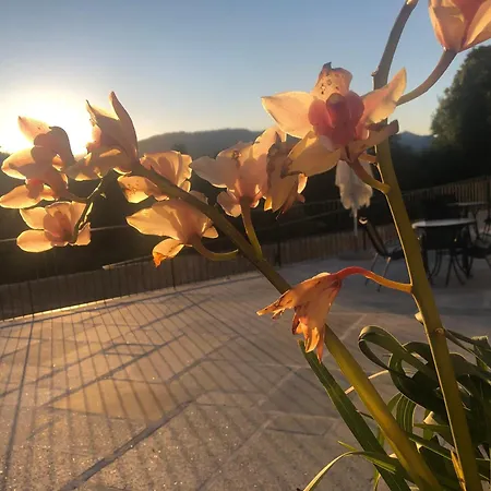 Quinta De Barbedo - Gospodarstwo agroturystyczne Caniçada