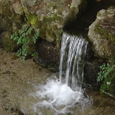 Quinta De Barbêdo - Alojamento de Turismo Rural Caniçada