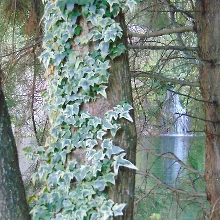 Gospodarstwo agroturystyczne Quinta De Barbedo - Caniçada