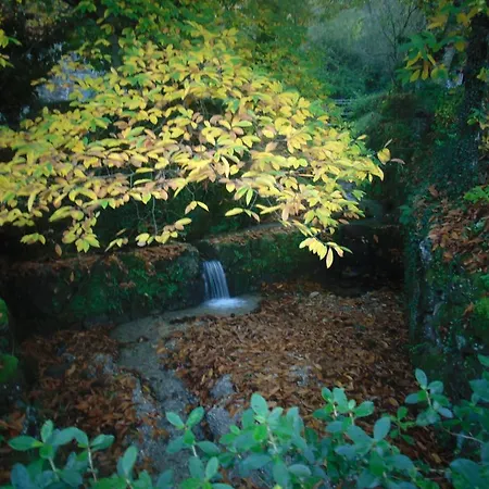 Quinta De Barbedo - Alloggio per agriturismo Caniçada