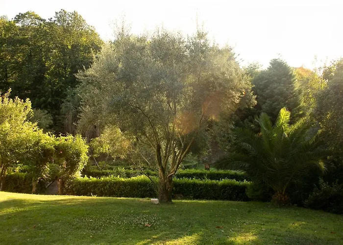 Quinta De Barbêdo -