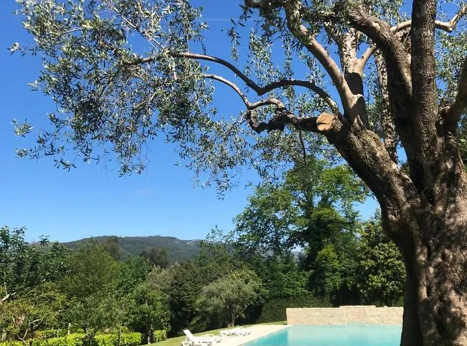 Quinta De Barbêdo - *