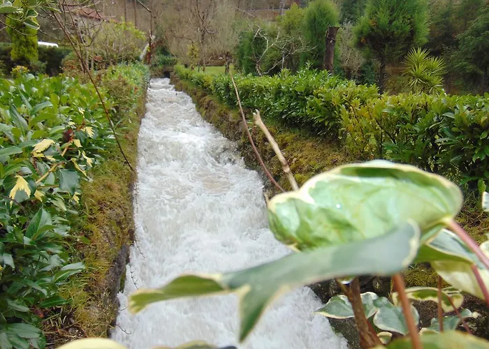 Quinta De Barbedo - Bauernhof