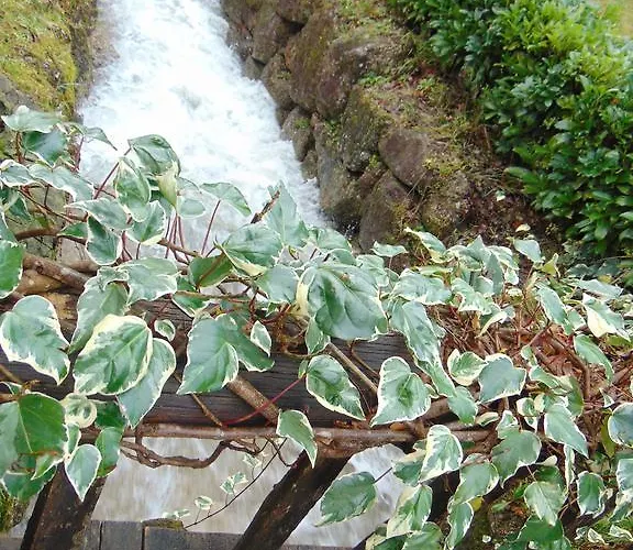 Quinta De Barbêdo - *