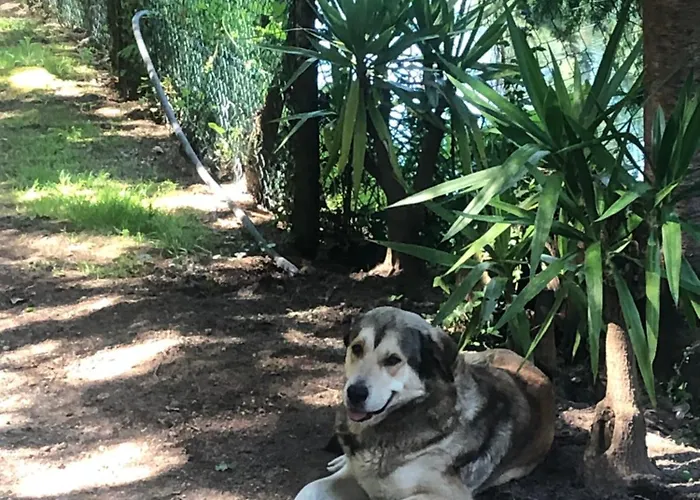 Alojamento de Turismo Rural Quinta De Barbêdo -