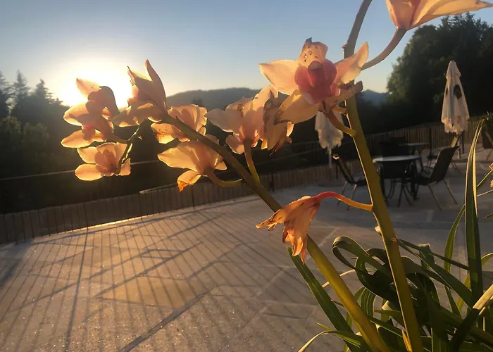 Quinta De Barbedo - Bauernhof Caniçada