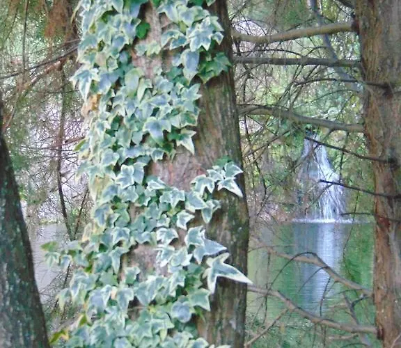 Bauernhof Quinta De Barbedo - Caniçada