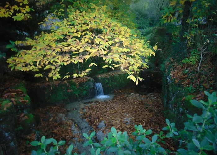 Quinta De Barbêdo - Alojamento de Turismo Rural Caniçada